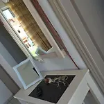 Zante Flower & Διαμέρισμα Αλυκανάς