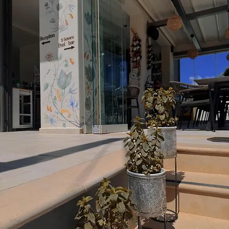 Zante Flower Studios&apartments Apartamento