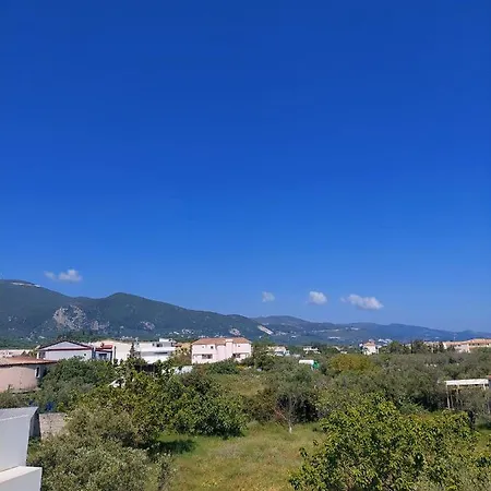 Zante Flower & Apartment *