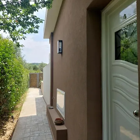 Zante Flower & Apartment *