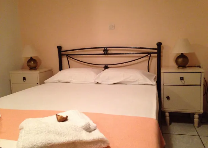 Zante Flower &