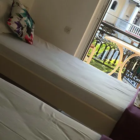 Zante Flower & * Аликанас